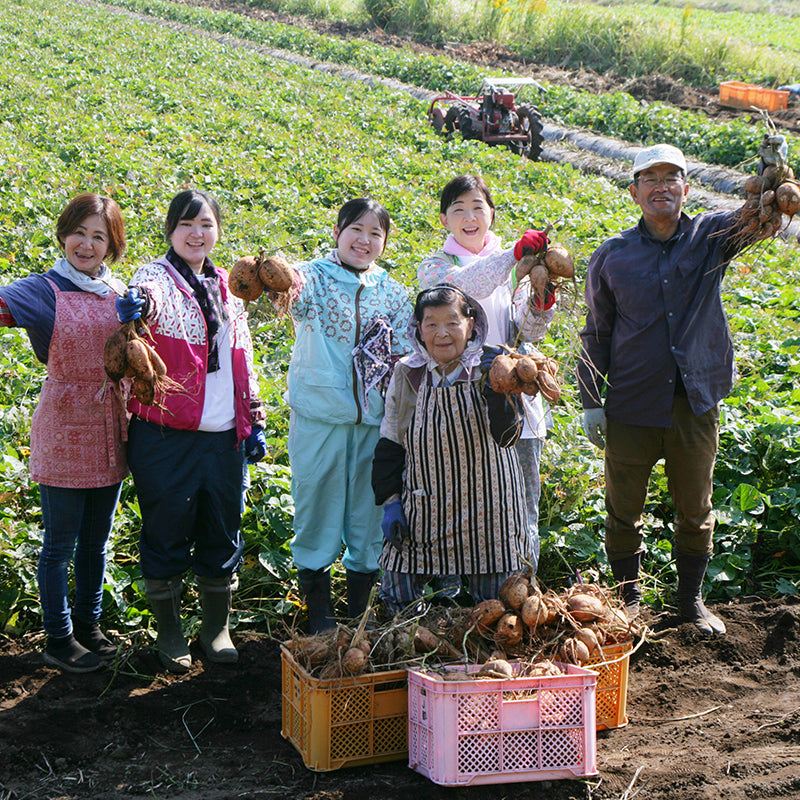 ちーばあちゃんの畑 │ 自然の発酵飲料ア！ハッピィモ│ 鹿児島県産の